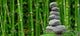 Himalayan Bamboo