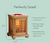 Wood & Cane Vintage Style Bulb Illumination Fragrance Warmer