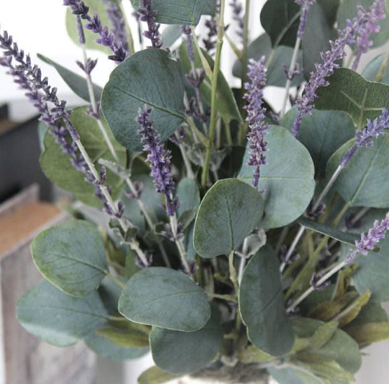 lavender and eucalyptus plants EUCALYPTUS LAVENDER 8.oz