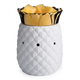 Pineapple Tart Warmer