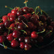 Black Cherry Merlot- Compared to BBW